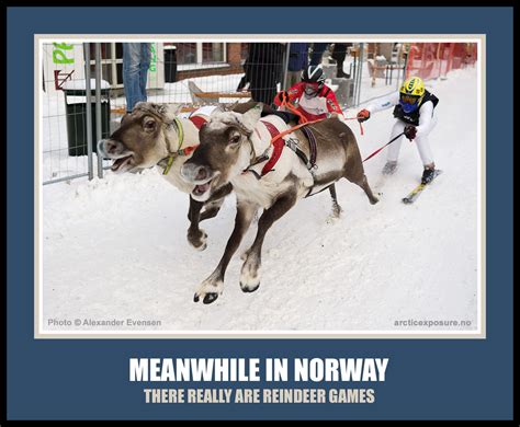 Meanwhile In Norway Meme There Really Are Reindeer Games Norwegian