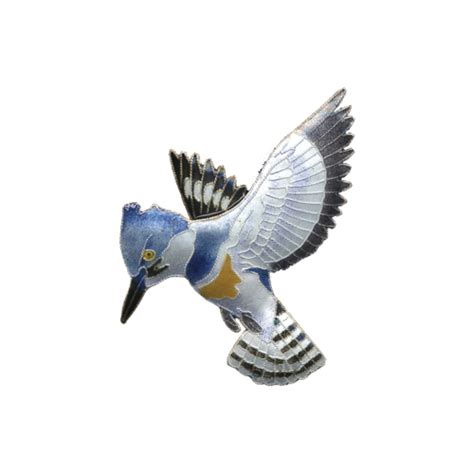 File Kingfisher Bird Png Png Mart