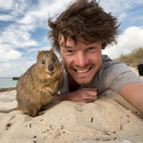 13 Funny Animal Selfies By Allan Dixon Travels And Living