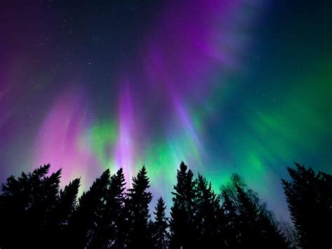 The Northern Lights Aurora Borealis Frequently Asked Questions Saga