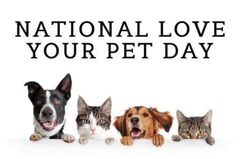 Its National Love Your Pet Day How Are You Celebrating The