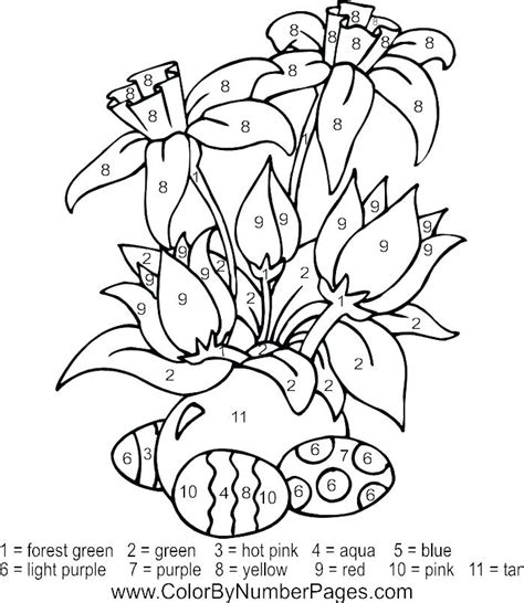 Coloring Pages Numbers Online Owl Color By Number Coloring Play