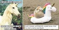 25 Random Unicorn Memes That Might Make Your Day A Little More Magical