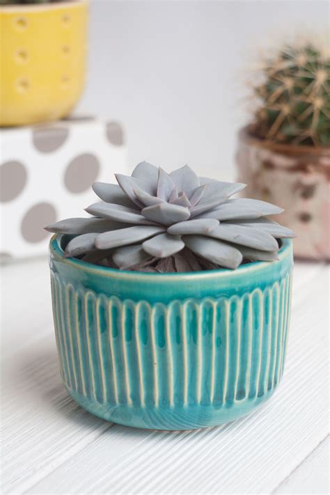 This Ceramic Succulent Pots Are The Perfect Decor For Any Room You Can