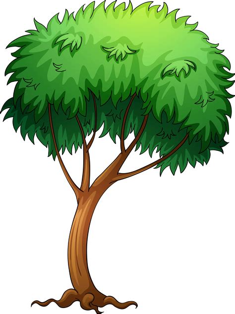 Pictures Of Trees Image Tree Cartoon Png Transparent Clipart Full
