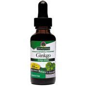 Ginkgo Leaf Alcohol Free Extract Liquid Oz From Nature S Answer