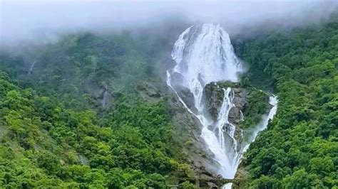 Experience Goas Monsoon Magic 5 Unforgettable Places To Add To Your