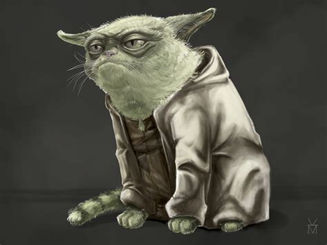 Yoda The Cat By Meg Koszyk On Dribbble