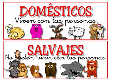 Animales Domésticos Y Salvajes Marzo 2012