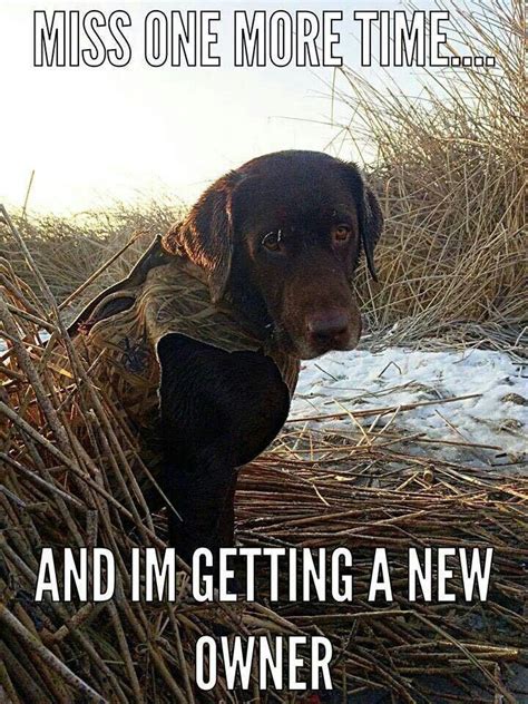 Holly Quotes Hunting Dog Quotes