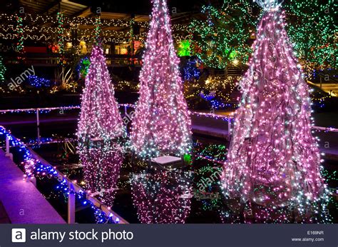 Beautiful Christmas Tree Lights And Other Holiday