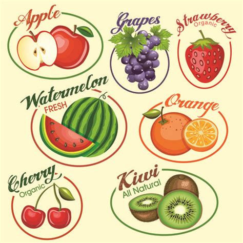 Fruits Slice Labels Vector Vector Food Free Download Fruit Labels