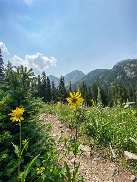 Backpacking Indian Peaks Wilderness Colorados Hidden Gem Earth To Kerra