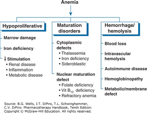 What Is The Pathophysiology Of Anemia Quora