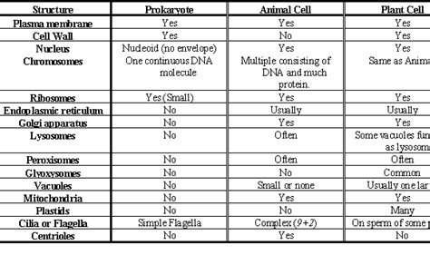Maybe you would like to learn more about one of these? Cell Structures
