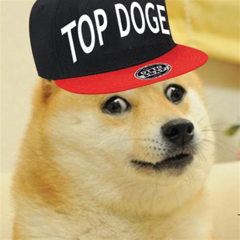Image 583665 Doge Know Your Meme