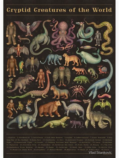 Cryptid Creatures Of The World Poster For Sale By Vlad Stankovic