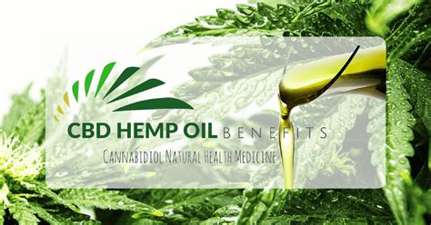 The Hemp Oil Benefits Helpful Cbd Guides Researches Reviews And Products