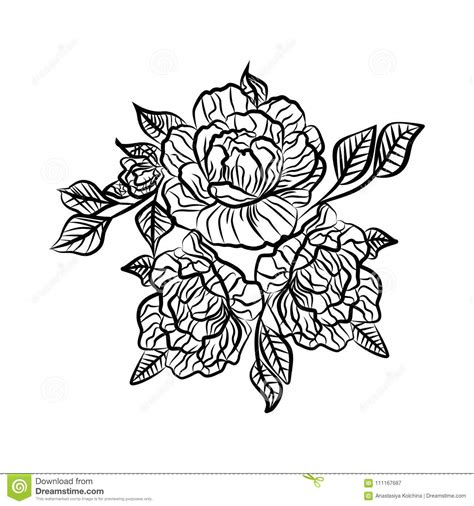 Fiore disegno bianco e nero had no results. Disegno In Bianco E Nero Di Un Tatuaggio Della Rosa ...