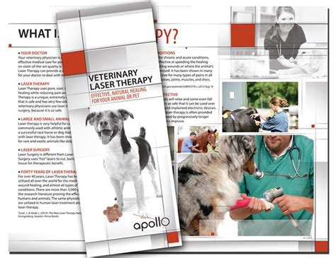 Veterinary Brochures Apollo By Pivotal Health Solutions