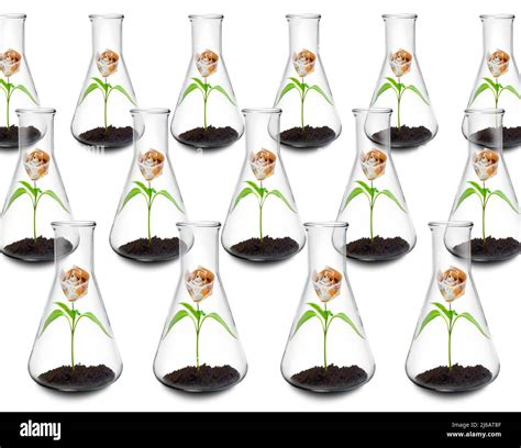 Cost Of Botanical Research Conceptual Image Stock Photo Alamy
