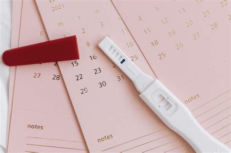 The Ultimate First Trimester Checklist By Lana Ly