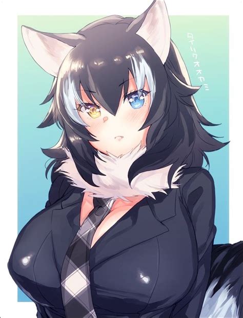 Gray Wolf ~ Kemono Friends Anime Wolf Girl Cat Girl Anime