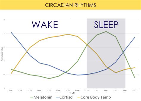 Circadian Rhythm Lighting And Human Health