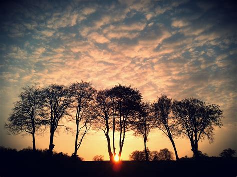 Free Images Tree Nature Horizon Silhouette Cloud Sun Sunrise