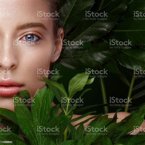 Beautiful Fresh Girl With Perfect Skin Natural Makeup And Green Leaves