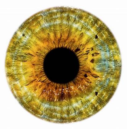 Eye Eyes Yellow Golden Dragon Pupil Lenses