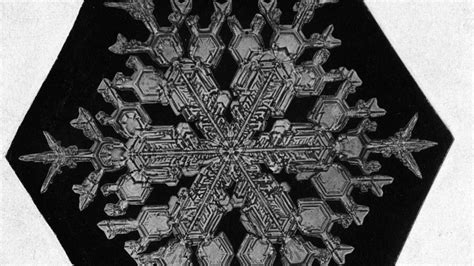 How We Learned No Two Snowflakes Are Alike