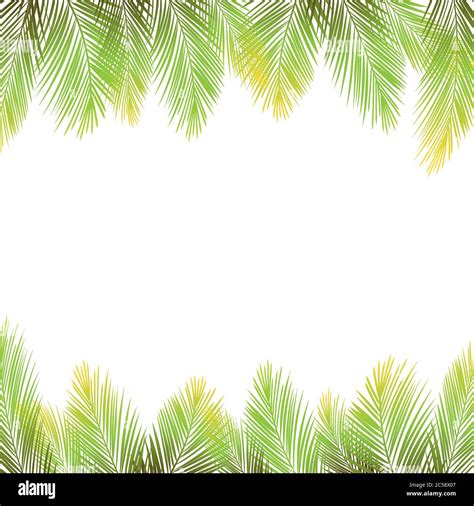 Border Of Palms Branches On Isolated On White Background Realistic