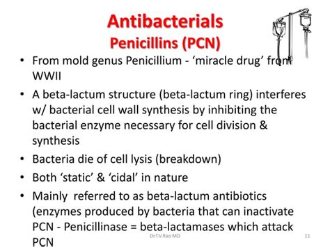 Penicillins And Cephalosporins Basics
