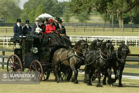 Pleasure Driving Competition At The Carriage And Horse Festival