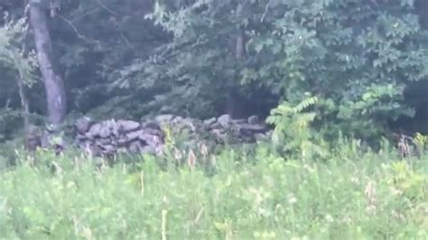 Walking Gettysburg's Haunted Triangular Field (Revisited) 7/28/21 - YouTube