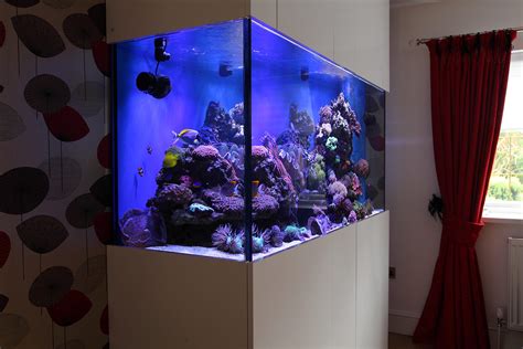Reef Aquarium In Greater Manchester Oceanlife Aquatics
