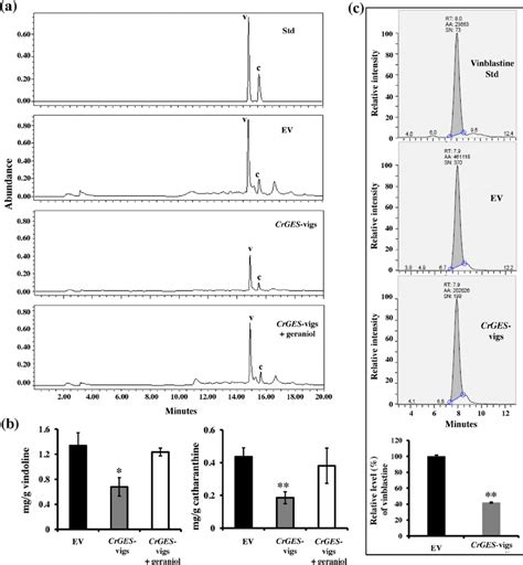 Effect Of Crges Vigs On Mia Accumulation In C Roseus Download