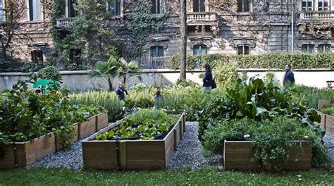 Potagers Urbains Kézako Potager Ferme Pédagogique Amenagement Cour