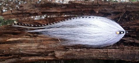 Fly Tying For Striped Bass Pic By Jason Taylor