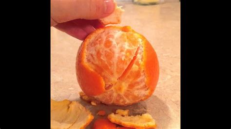 Peeling Oranges Youtube
