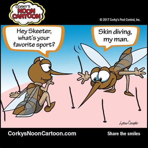 mosquito cartoons corky s pest control services san diego pest control