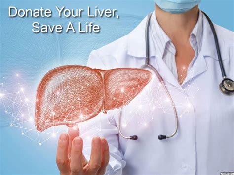 A Guide To Donating Your Liver Everything You Need To Know