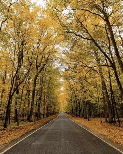 7 Awesome Fall Color Drives In Northern Michigan