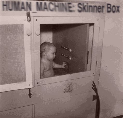 Human Skinner Box 1976
