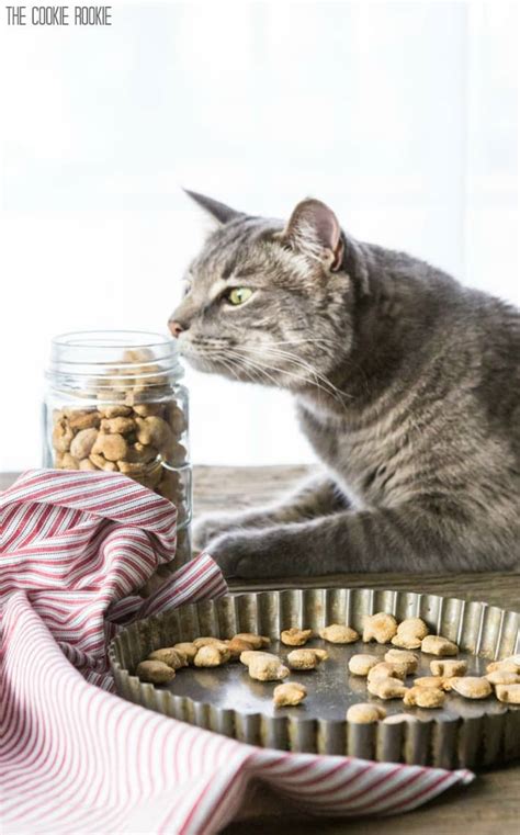 Homemade Cat Treats Recipe 3 Ingredient Salmon Cat Treats