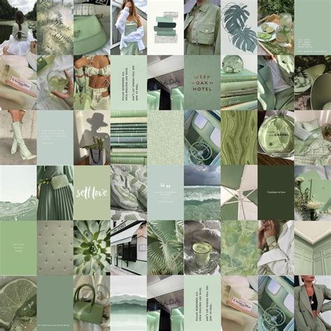 Matcha Sage Green Aesthetic Wall Collage Kit Digital Download 50 Pcs