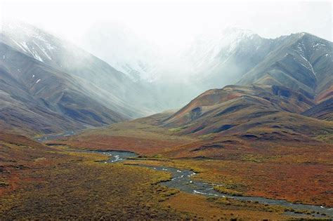 10 Characteristics Of Tundra What Is Tundra And What Are Its Features