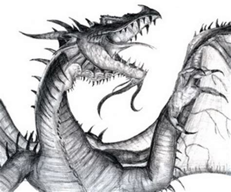 Indeed, dragon drawings are as timeless as they can get. Drawings Archives - Hative