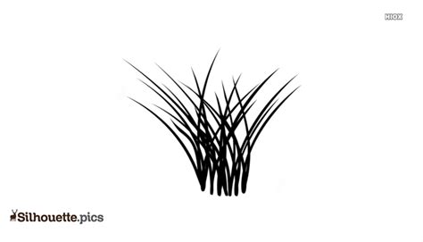 Sea Grass Silhouette Images Pictures